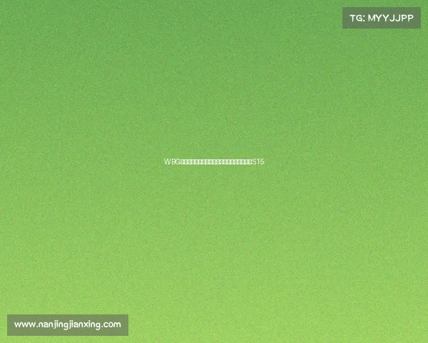 WBG斩获东北亚电竞嘉年华桂冠，全华班阵容剑指S15