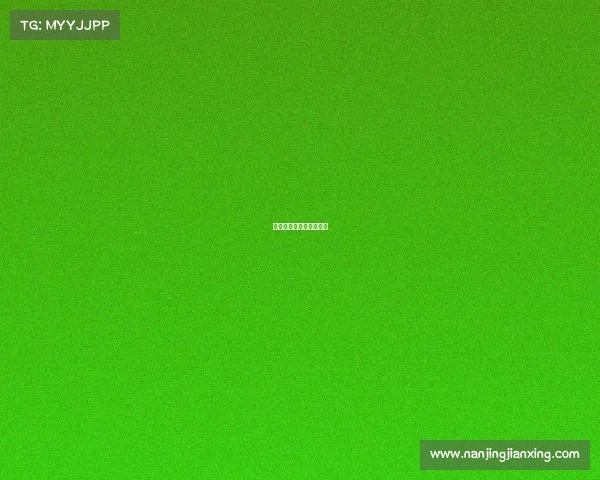 石头电子有限公司怎么样